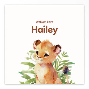 Studio Draak geboortekaartje