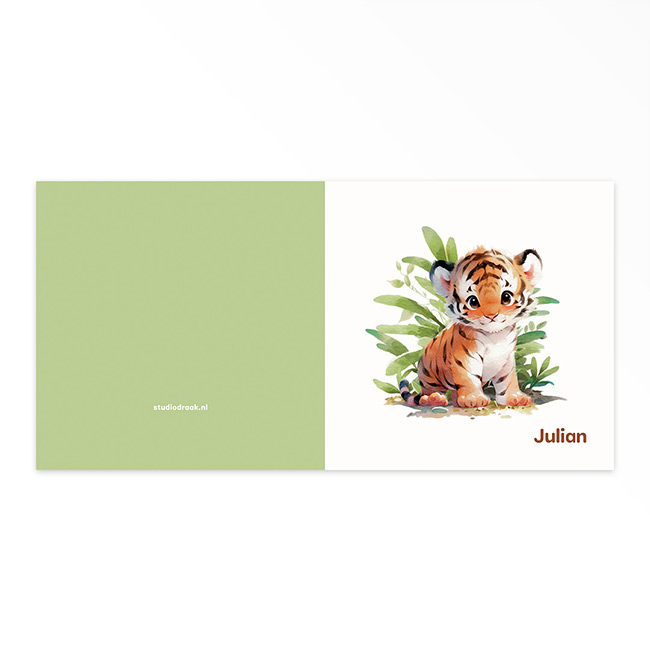 Studio Draak geboortekaartje