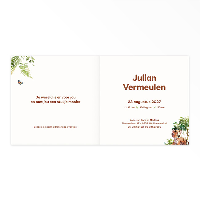 Studio Draak geboortekaartje