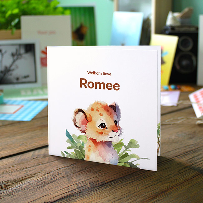 Studio Draak geboortekaartje