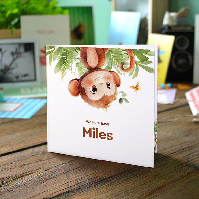 Studio Draak geboortekaartje