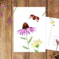 Kaart van Studio Draak