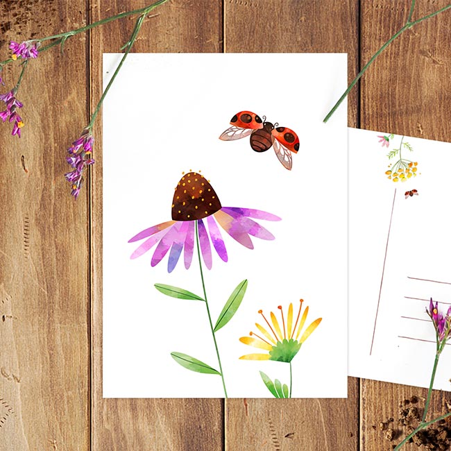 Kaart van Studio Draak