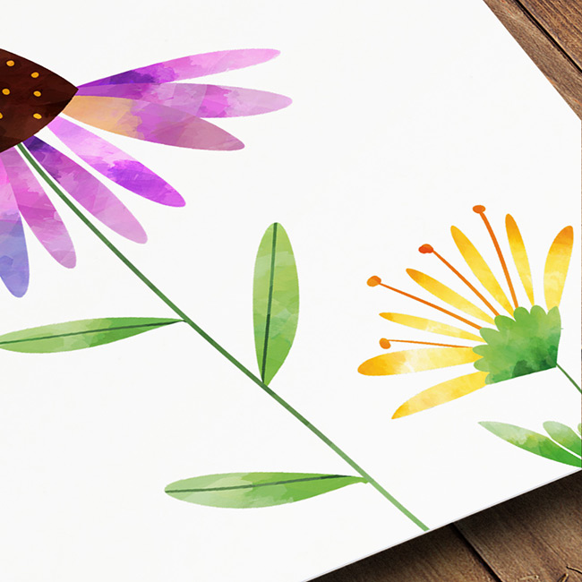 Kaart van Studio Draak