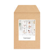 Set met 4 kaarten Studio Draak