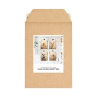 Kaartenset 'Klein in een groot bos' van Studio Draak